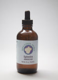 Ephedra (American) Tincture
