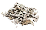 California White Sage - loose or mini smudge sticks