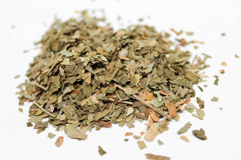 Ginkgo Leaf