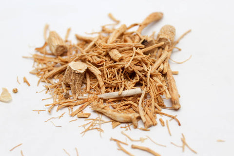 Eleutherococcus Root, Siberian Ginseng