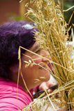 Oatstraw