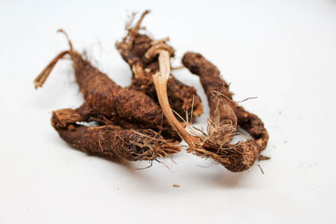 Osha Root (Whole with pieces)