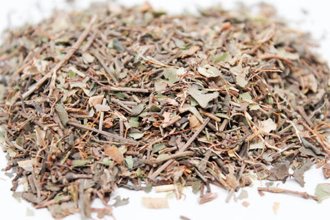 Partridge Berry